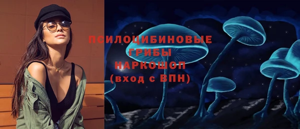 молекула духа Армянск