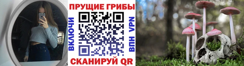 Псилоцибиновые грибы мухоморы  Елабуга 